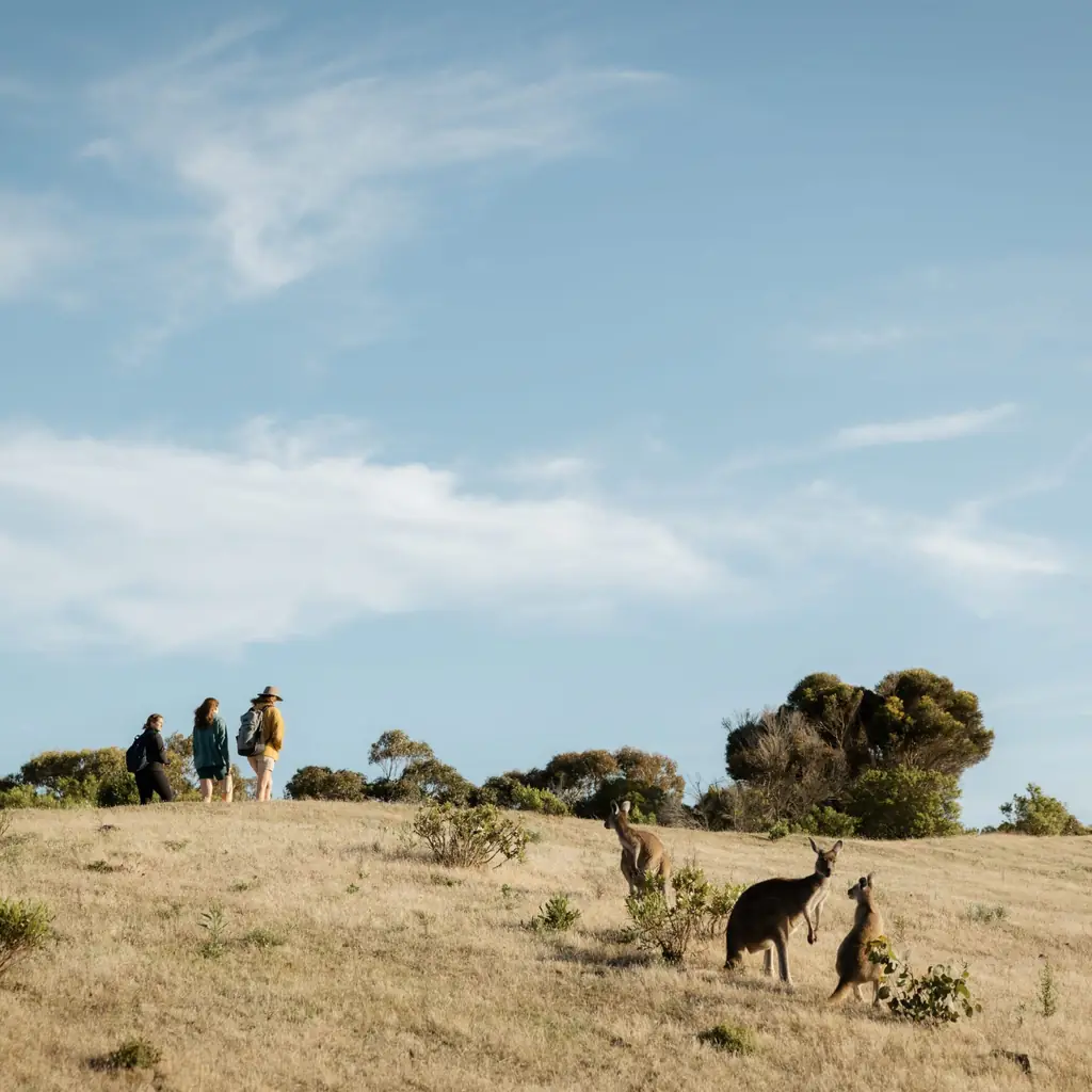 Deep Creek National Park, Fleurieu Peninsula