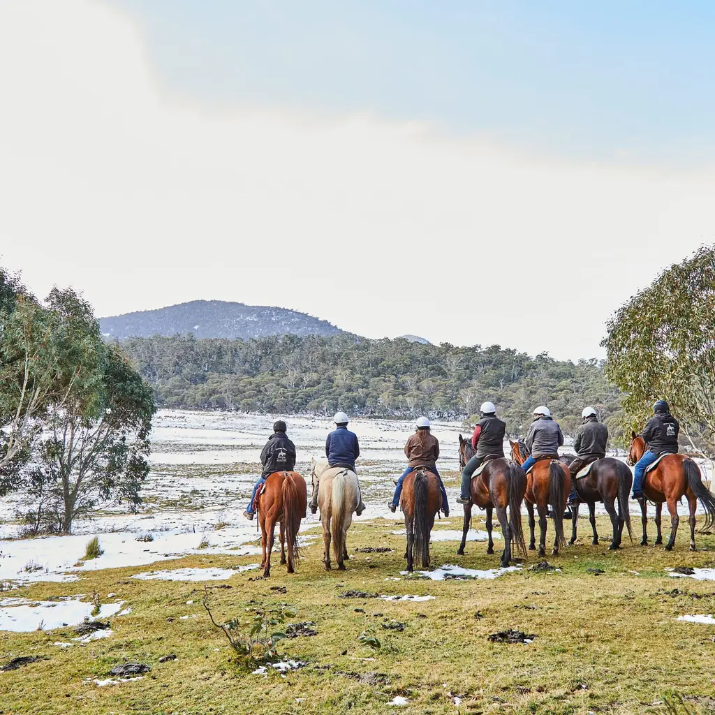 Crackenback, Kosciuszko National Park
