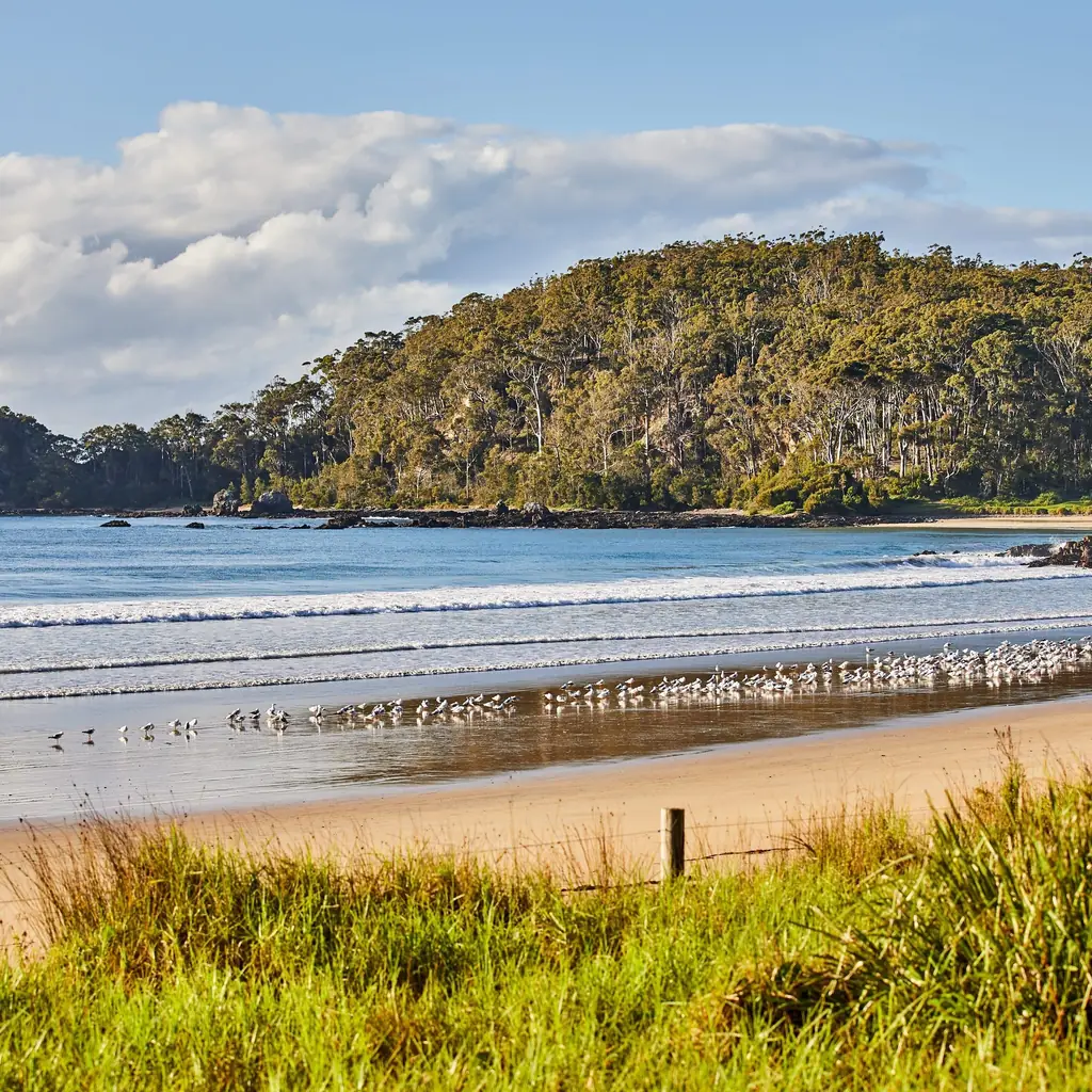 Broulee, Sapphire Coast