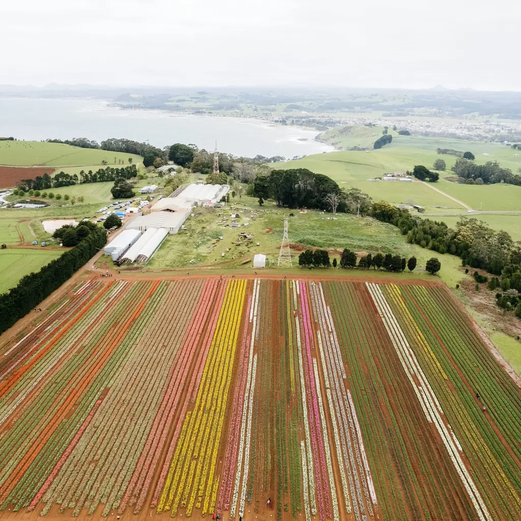 Wynyard, North West Tasmania