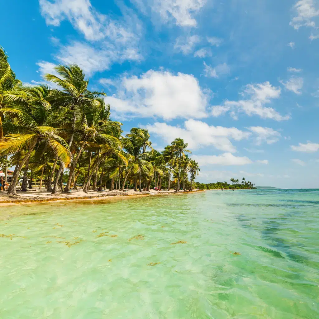Palm-lined Bois Jolan beach on Guadeloupe