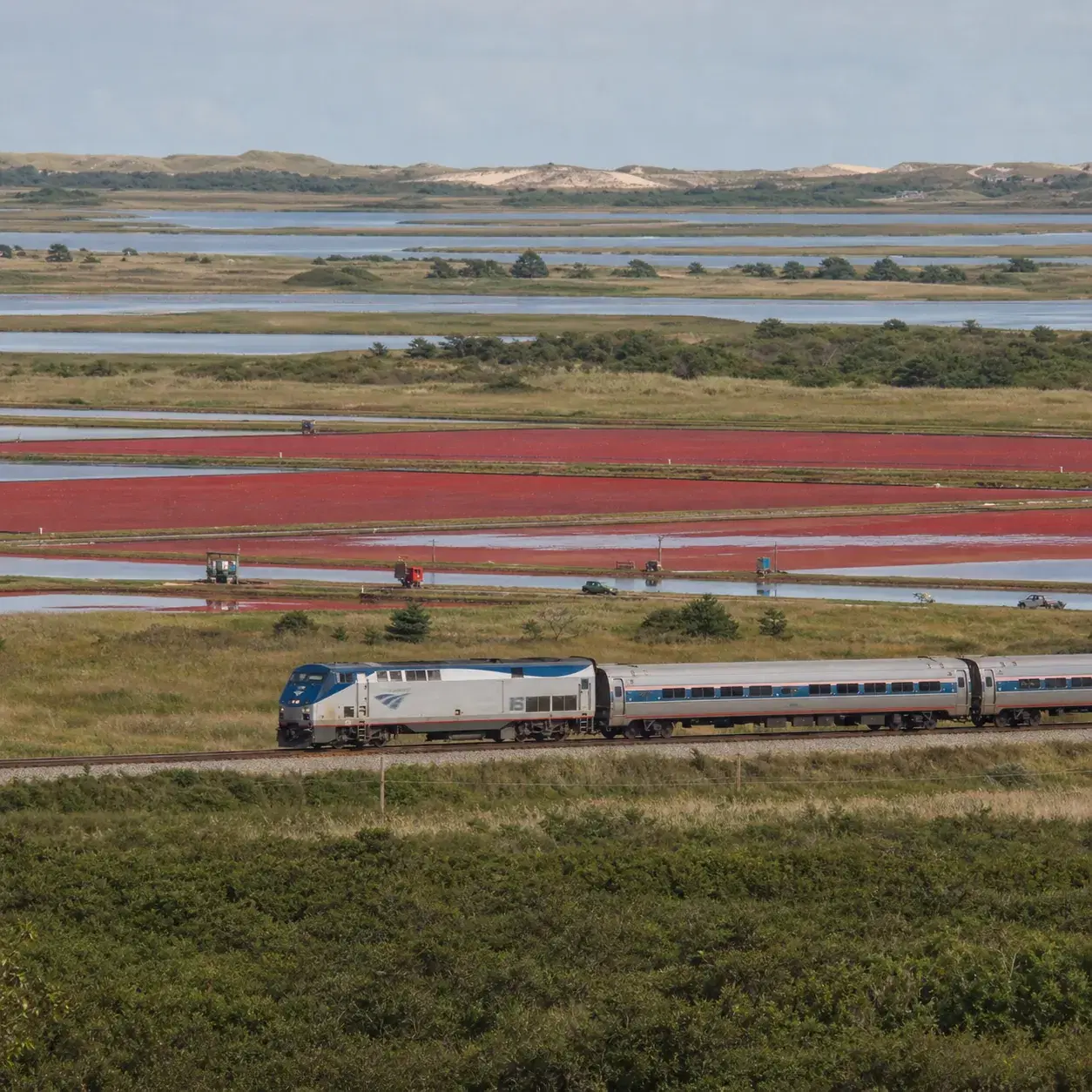 Realistic editorial photo of a passenger train crossing Cape Cod marshland with cranberry bogs, dunes, and coastal grass