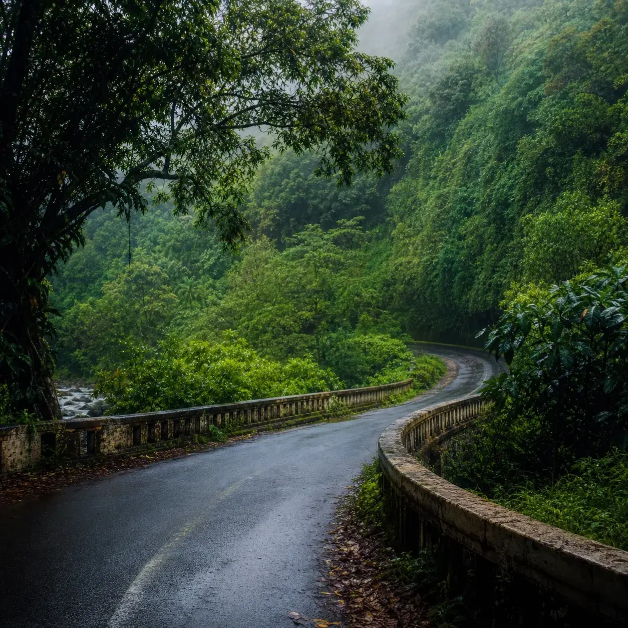 Realistic editorial photo of a lush Maui road curving through rainforest with a small bridge, tropical greenery, and sof