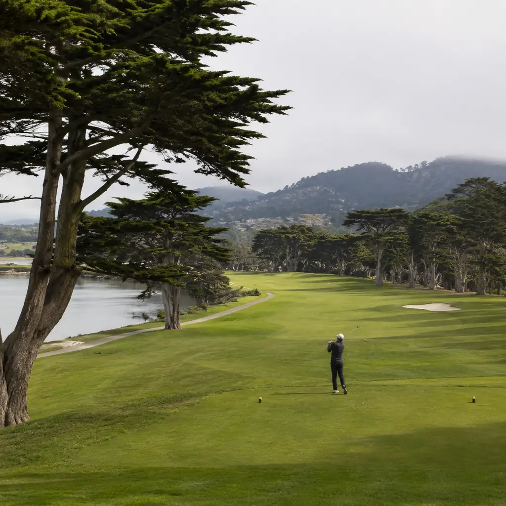 Realistic editorial photo of a San Francisco municipal golf course lined with Monterey cypress trees near a calm lake, o