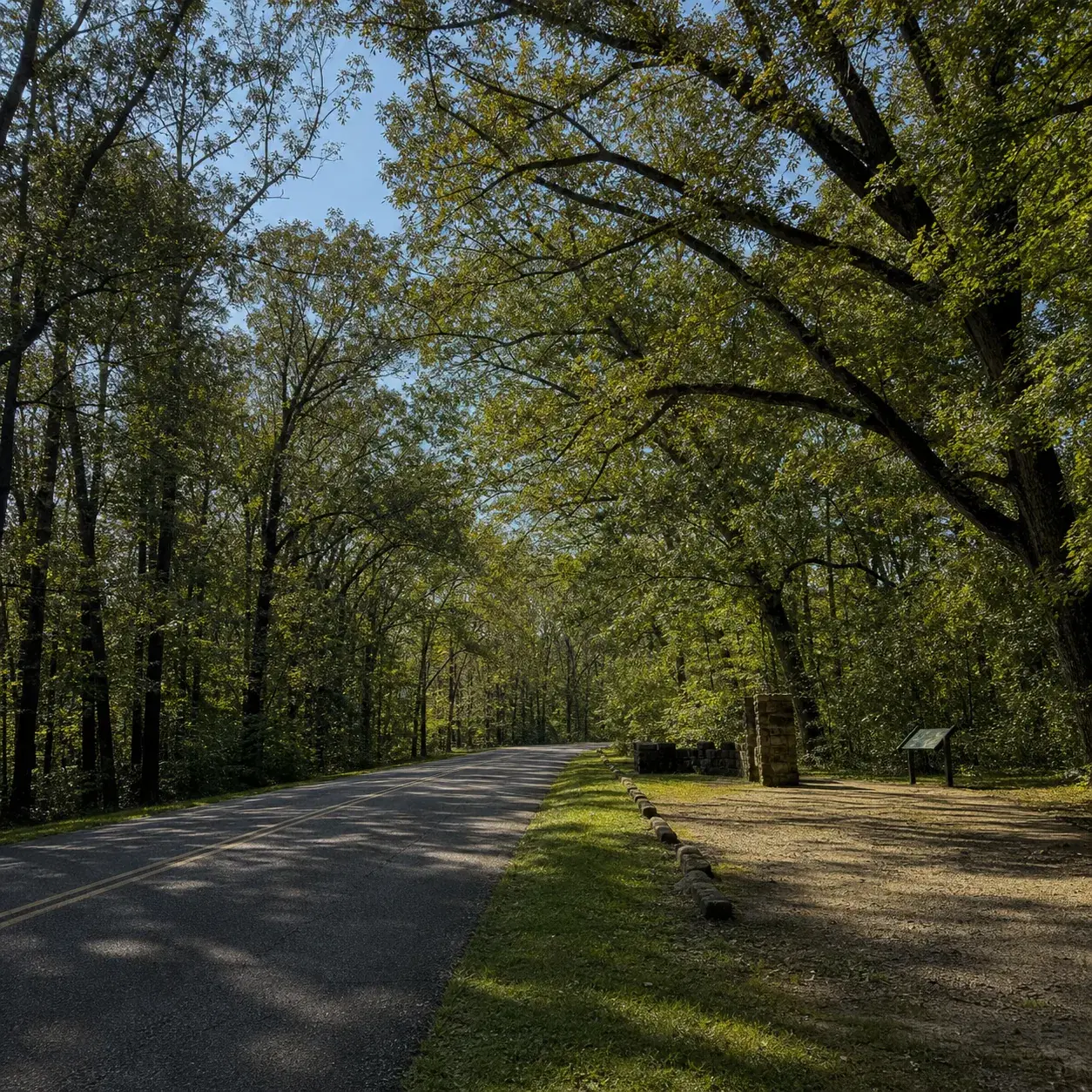Realistic editorial photo of the Natchez Trace Parkway with a quiet two-lane road, old trees, soft Southern light, and a