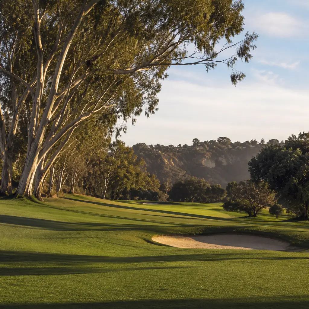 Realistic editorial photo of a classic Los Angeles private golf course with eucalyptus trees, kikuyu fairway texture, ca
