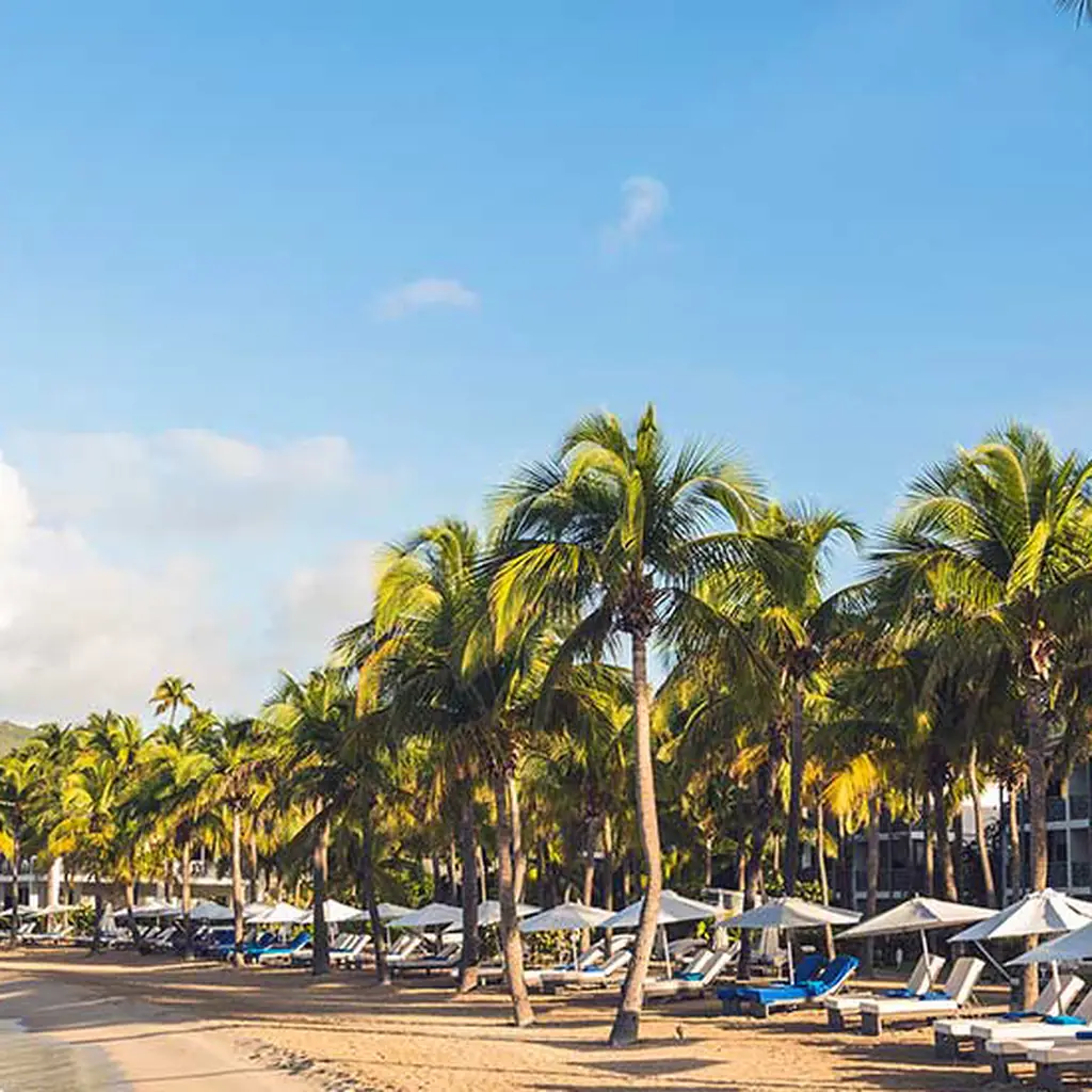 Palm trees, loungers, and the beach at Carlisle Bay in Antigua
