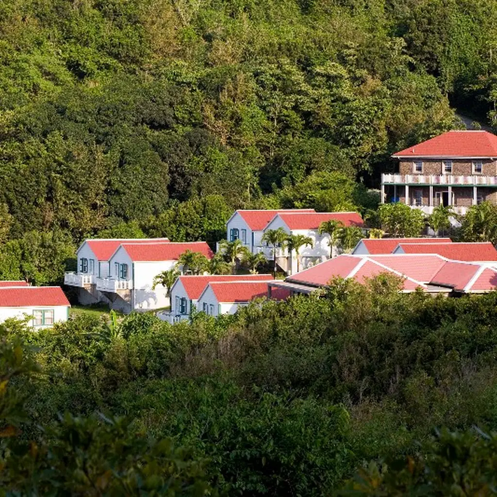 Cottage Club buildings on a green hillside in Saba