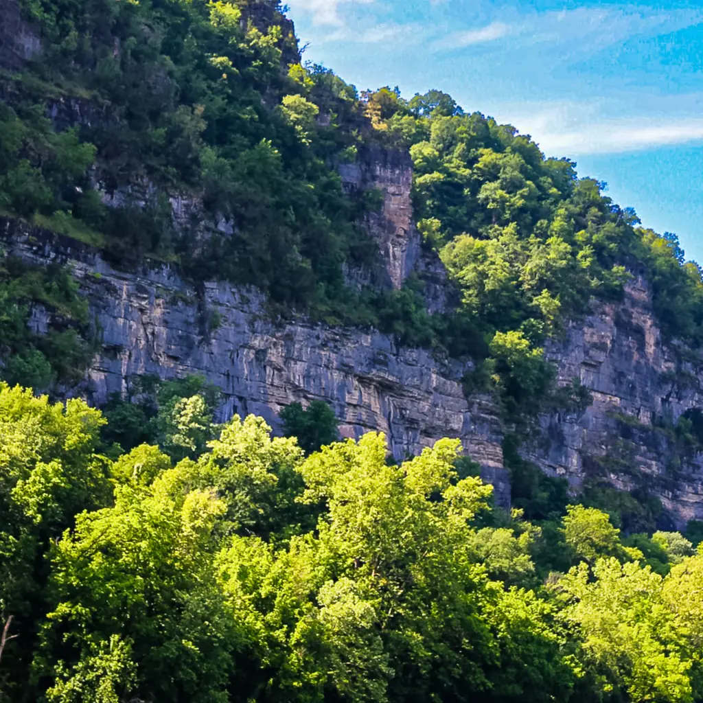 Limestone bluffs above the Buffalo National River in Arkansas.