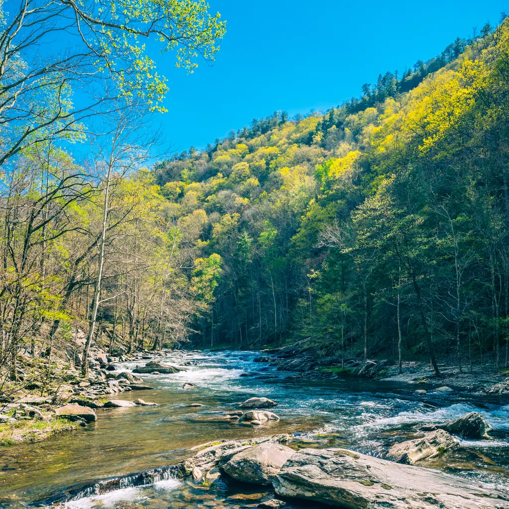 Tellico River in the wooded mountains of Tennessee.