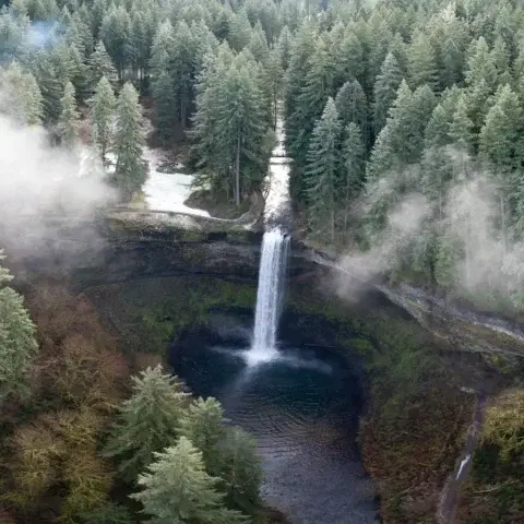 South Falls and forest at Silver Falls State Park in Oregon