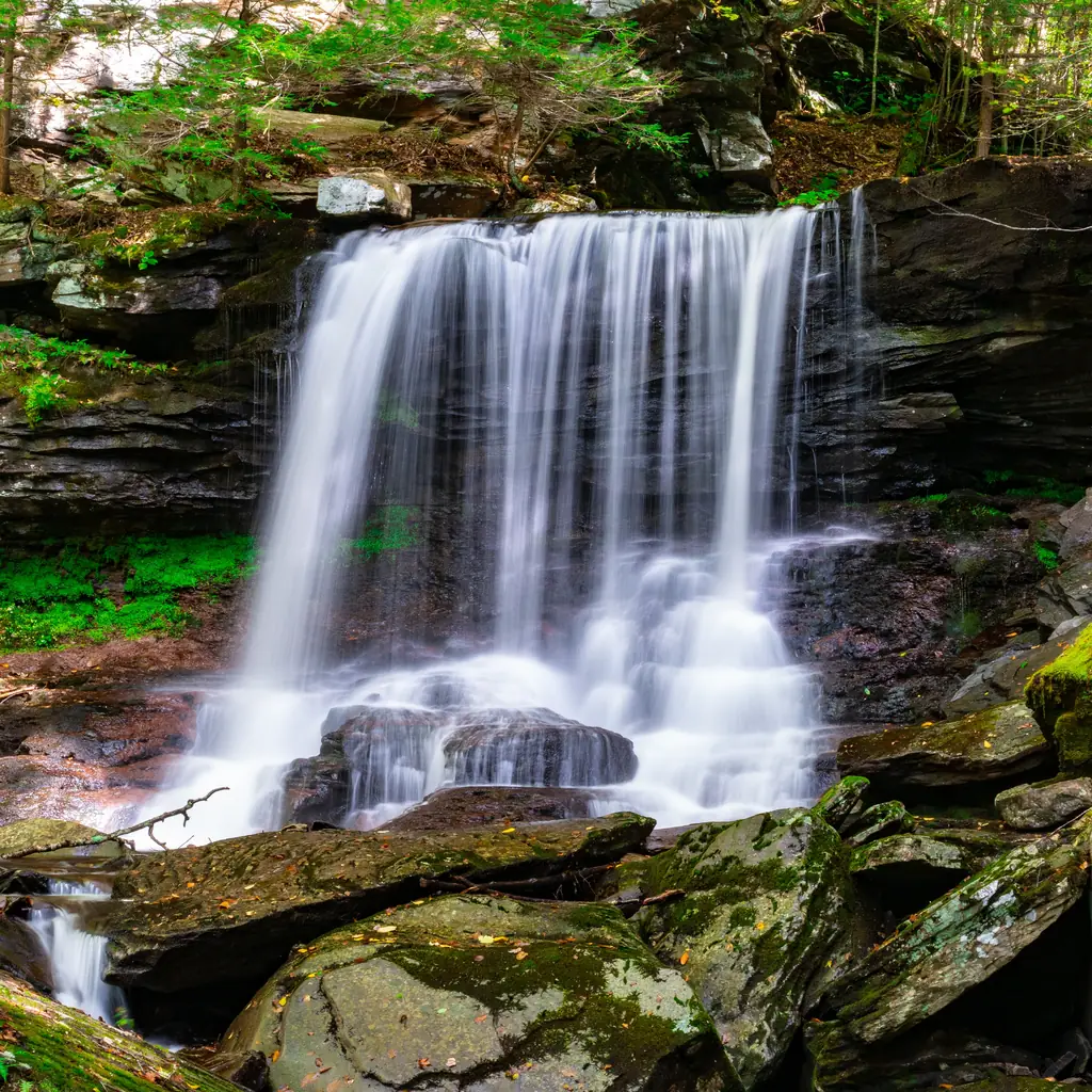 A waterfall in Ricketts Glen State Park, Pennsylvania