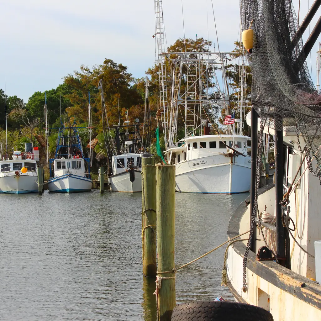 Shrimp boats moored along the waterfront in Apalachicola, Florida.