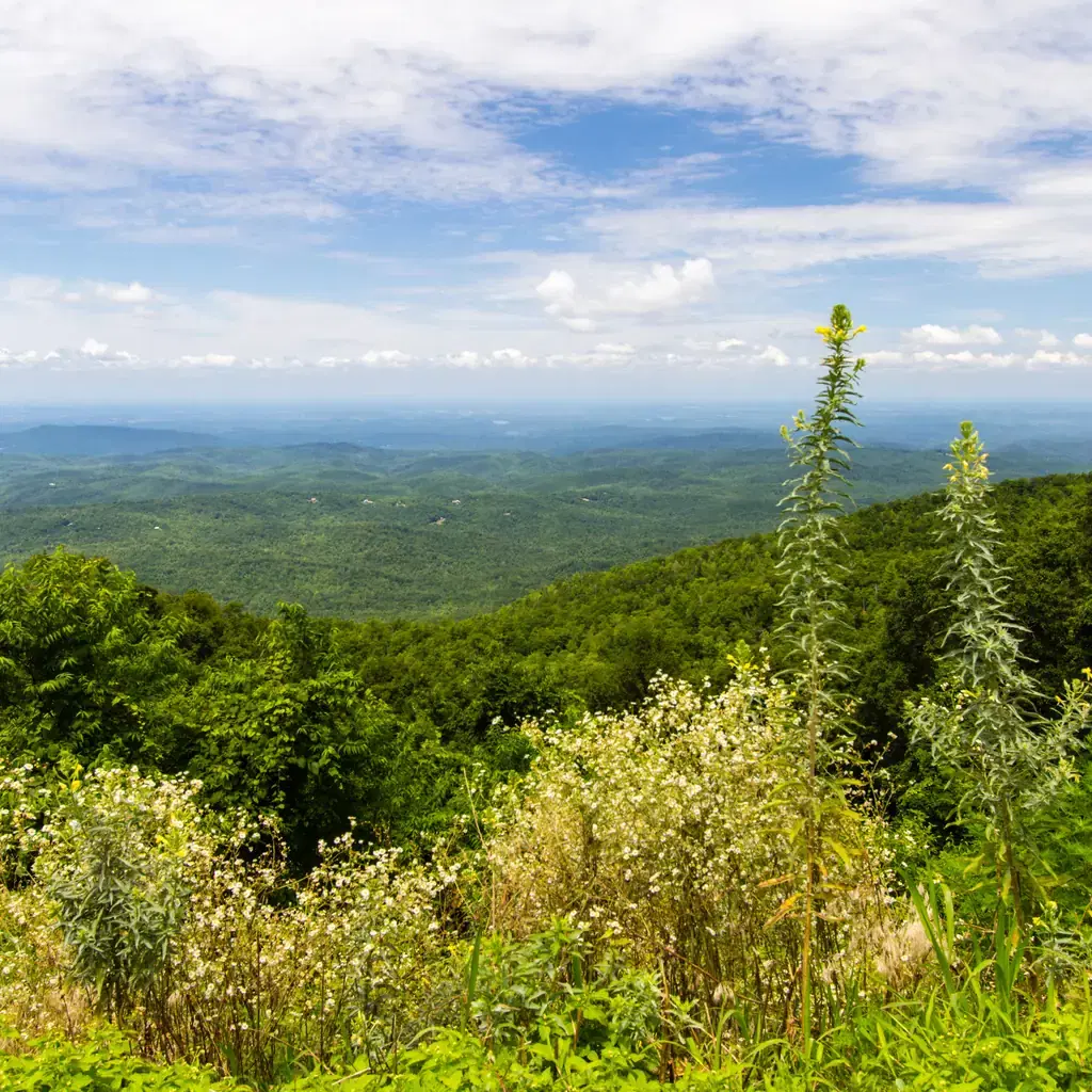 Mountain valley near Townsend, Tennessee, seen from the Foothills Parkway.