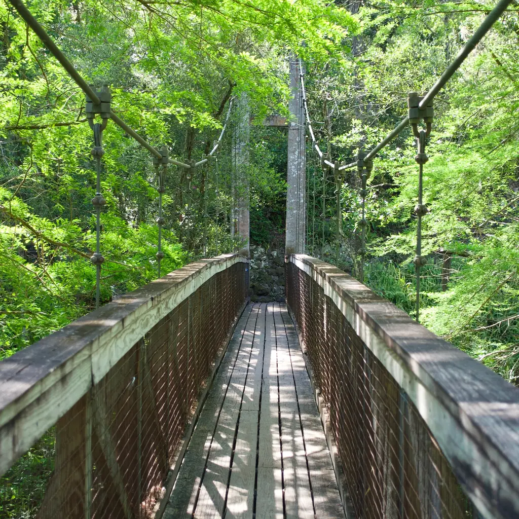 Pedestrian suspension bridge in Ravine Gardens State Park, Palatka, Florida.