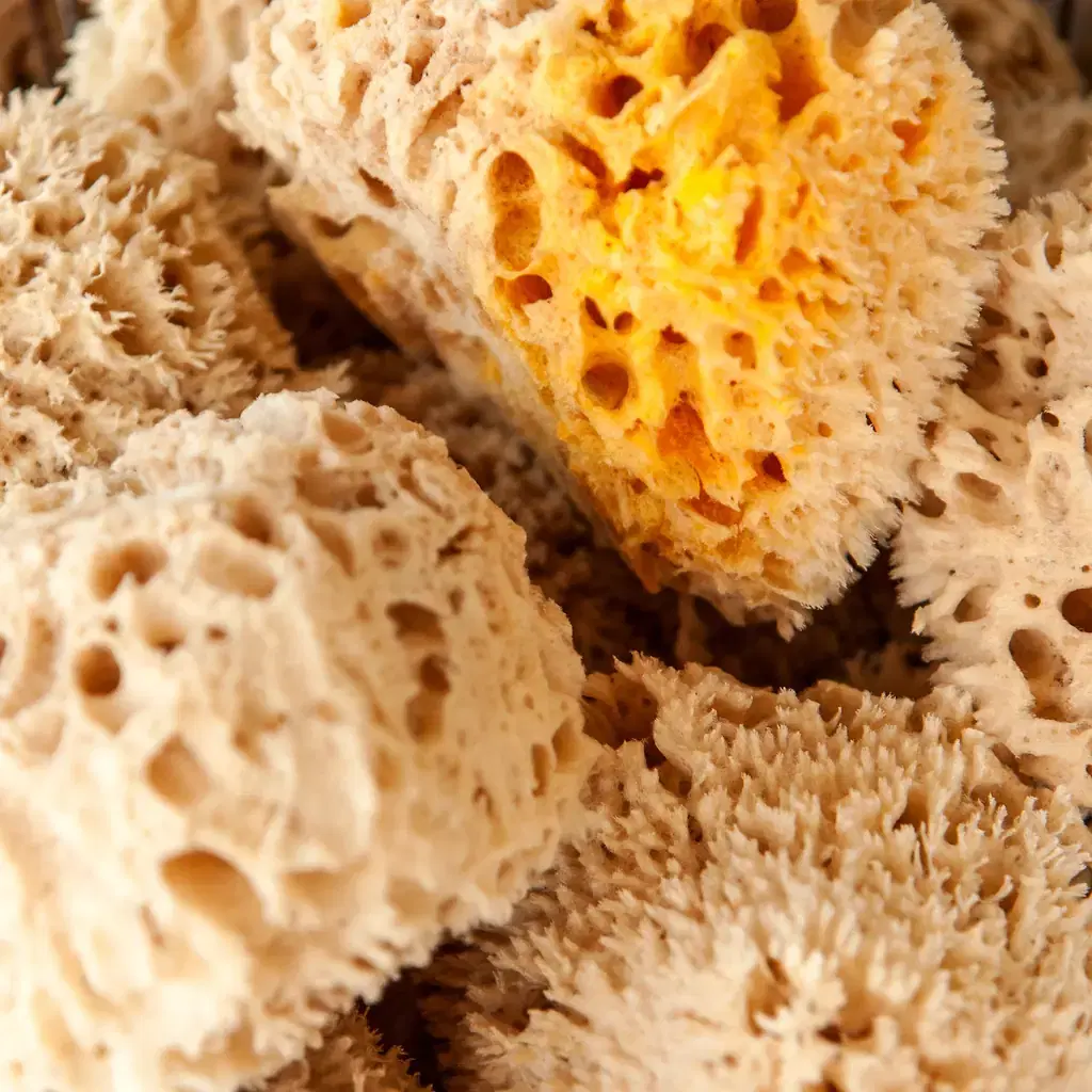 Dried natural sea sponges for sale in Tarpon Springs, Florida.