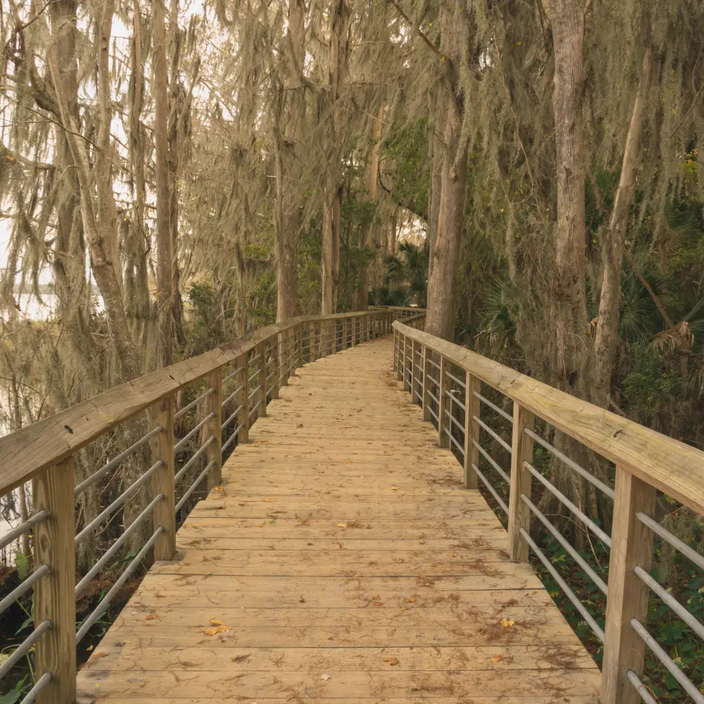 Boardwalk through trees at Cooter Pond Park in Inverness, Florida.