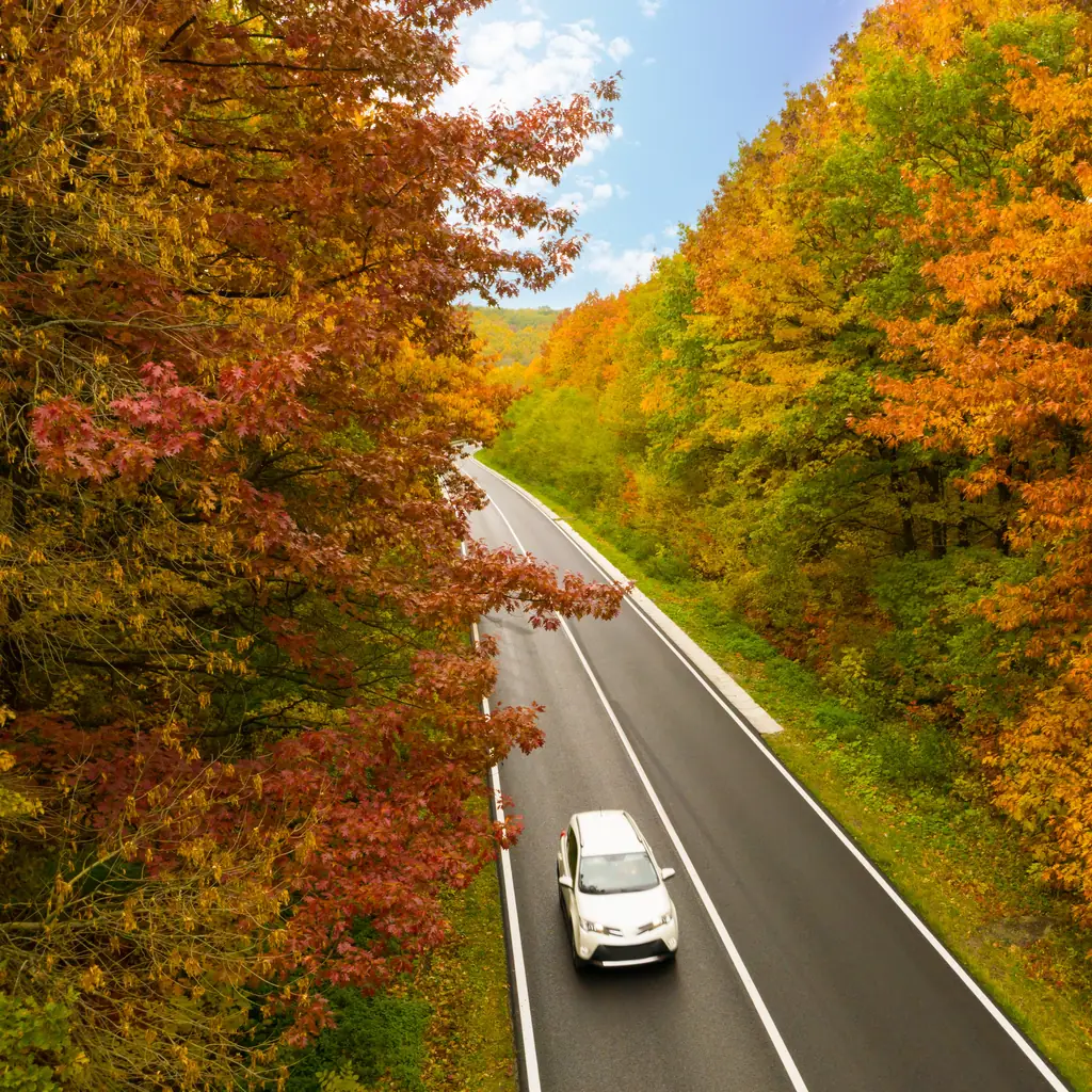A car travels a two-lane rural highway lined with bare autumn trees under a soft November sky